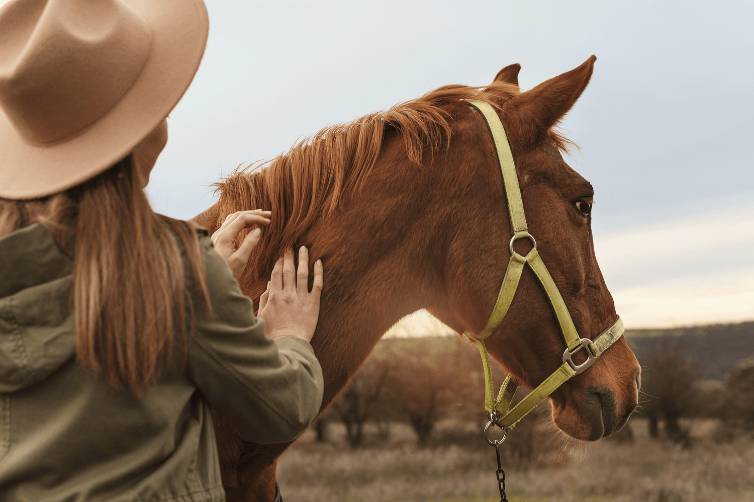 Lucky Paws Pet Services Bryan College Station Texas - Horse and Farm Care