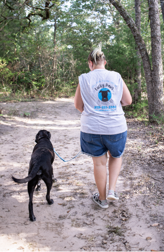 Person walking a black dog on a leash in a forested area