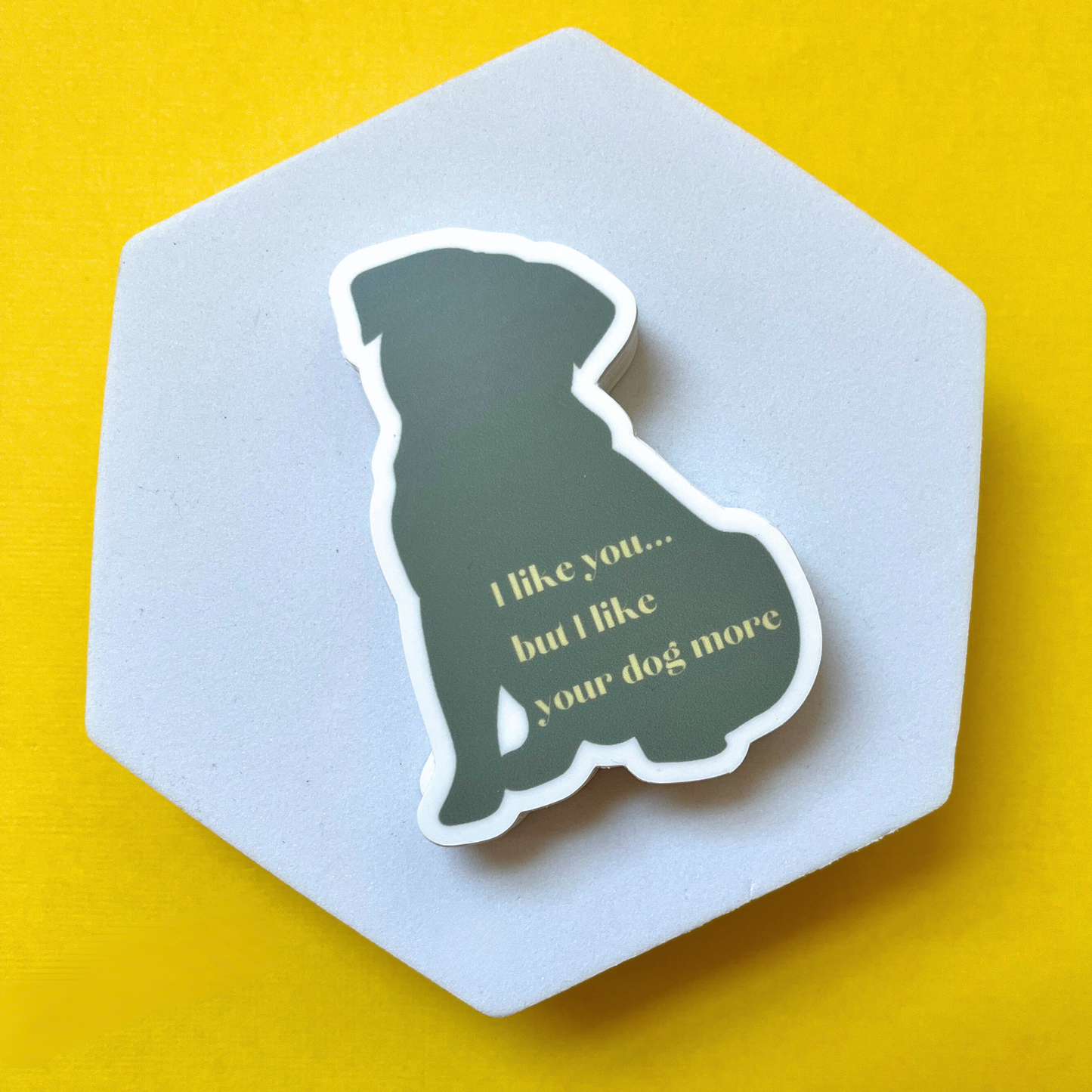 I Like You But I Like Your Dog More Vinyl Sticker - Lucky Paws BCS  