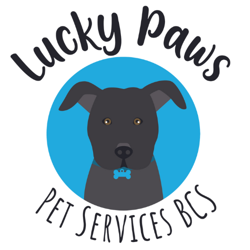 Lucky dog top pet service