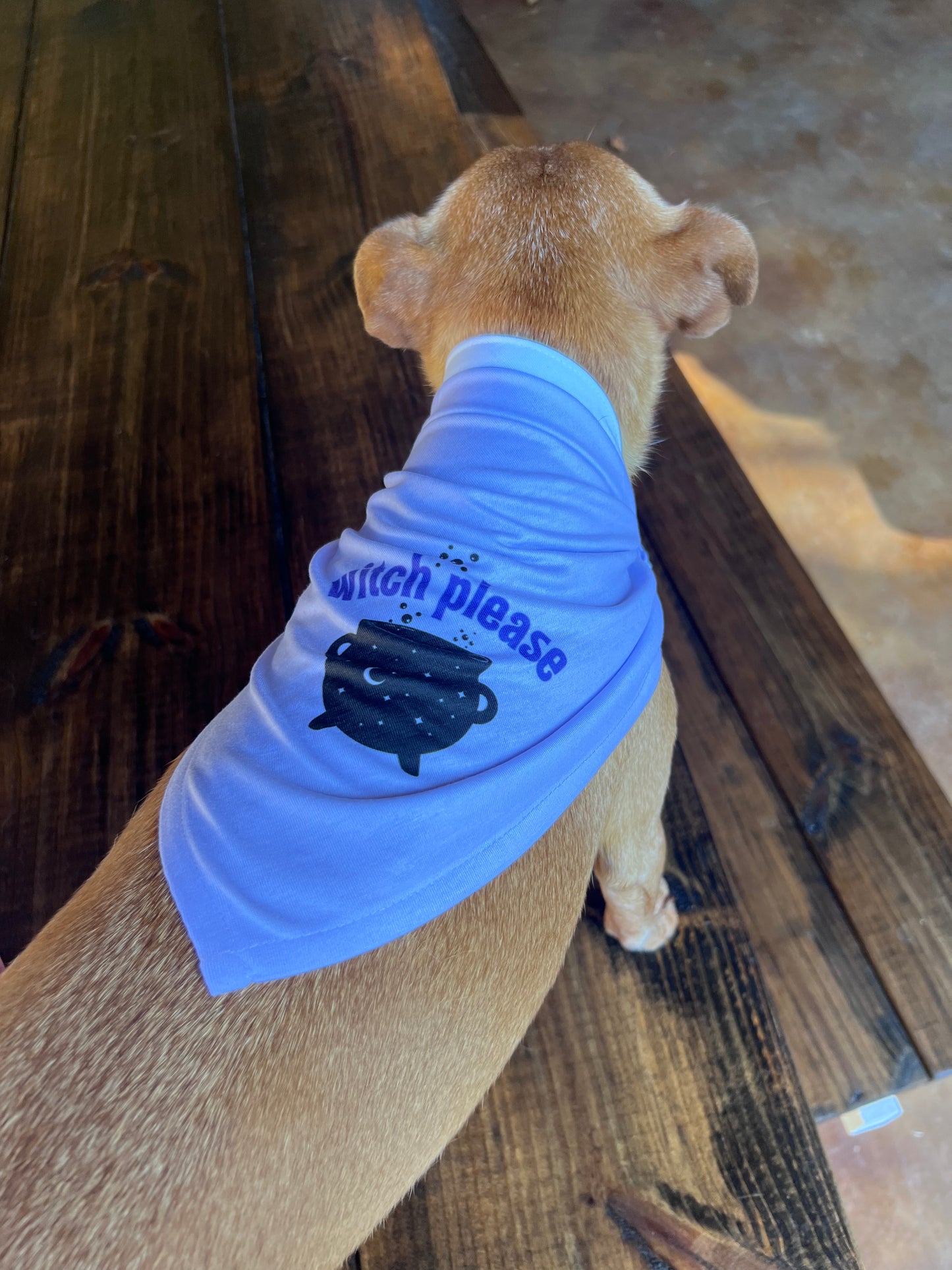 Witch Please Dog Bandanna - Lucky Paws BCS  