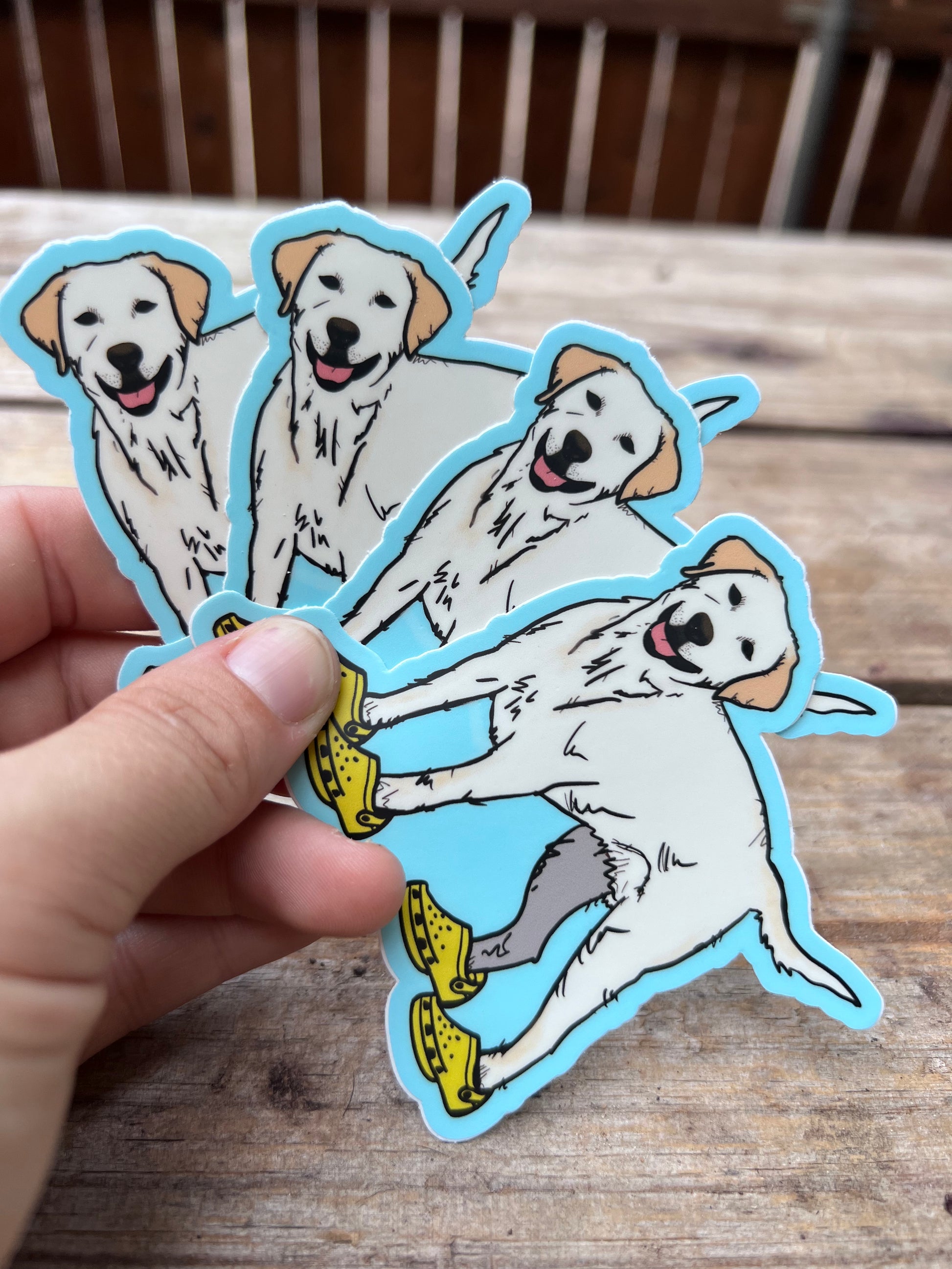 Croc-a-dog Sticker - Lucky Paws BCS  