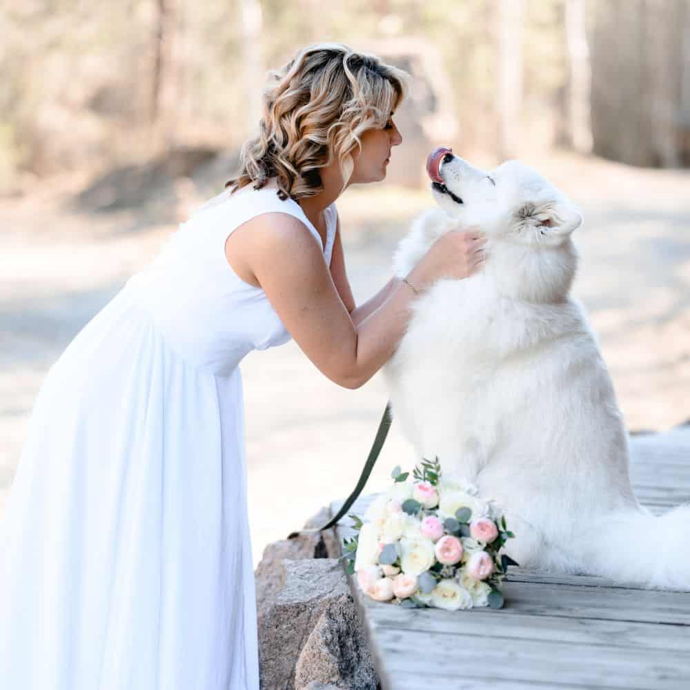 Wedding pet services