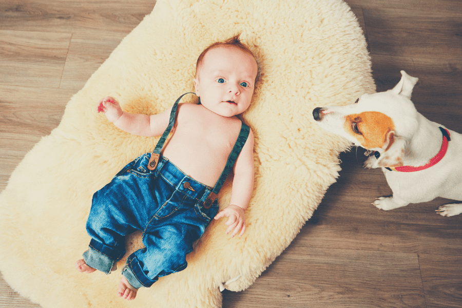 Introducing Your Newborn to the Family Dog: A Guide for BCS Pet Parents