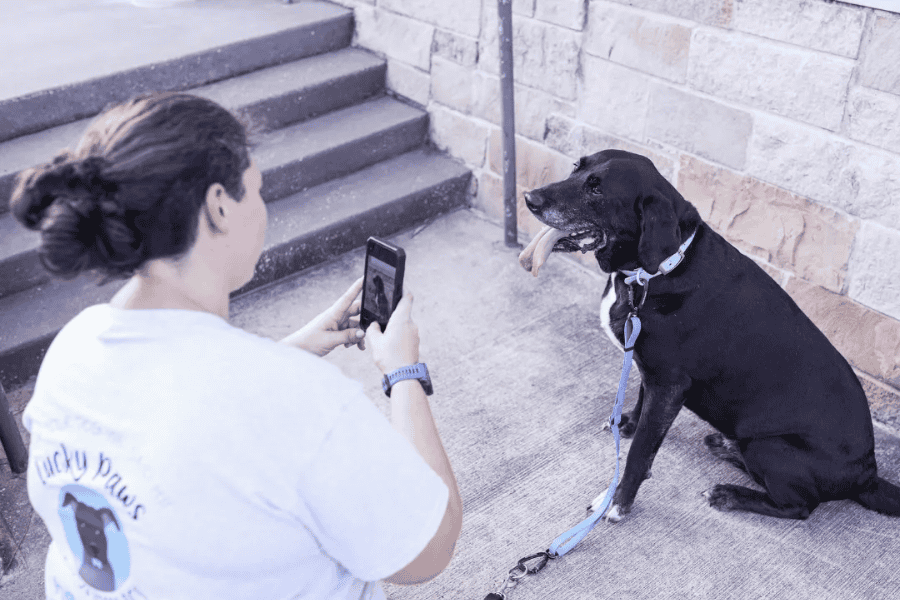 Pet sitter taking a photo of a black dog outside.