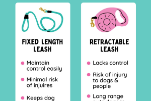 Comparison of fixed length and retractable dog leashes for pet safety and control.