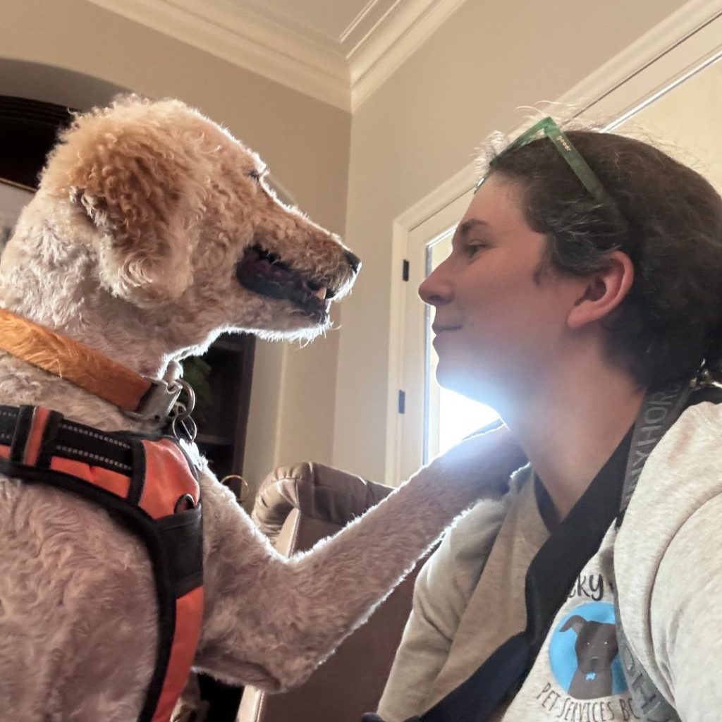 Dog and woman face-to-face, showing a bond and trust.
