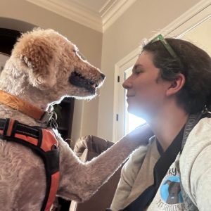 Dog and woman face-to-face, showing a bond and trust.